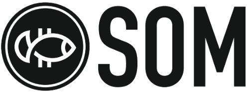 SOM SYSTEM Logo